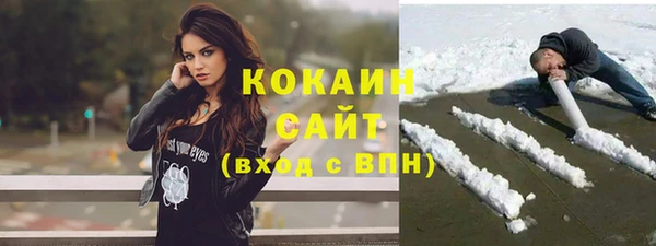 ГАЛЛЮЦИНОГЕННЫЕ ГРИБЫ Алзамай