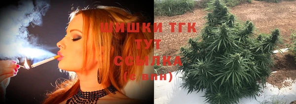 ГАЛЛЮЦИНОГЕННЫЕ ГРИБЫ Алзамай